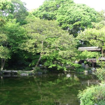 Japanse Tuin